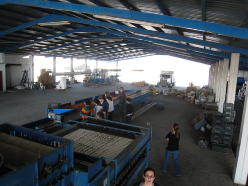 Packing facility